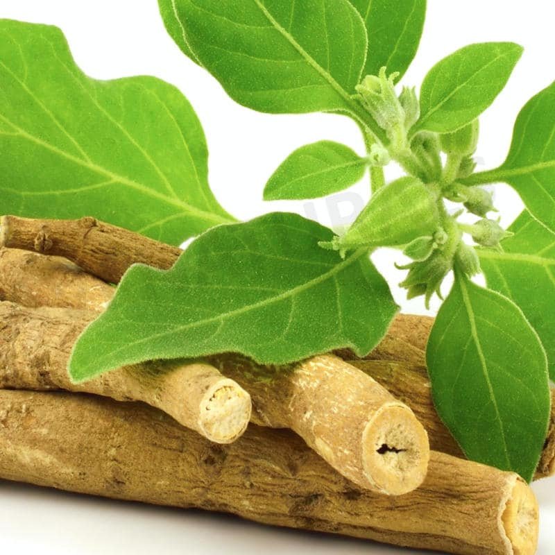 Ashwagandha root and leaf