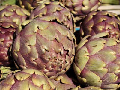 Artichoke is antioxidant