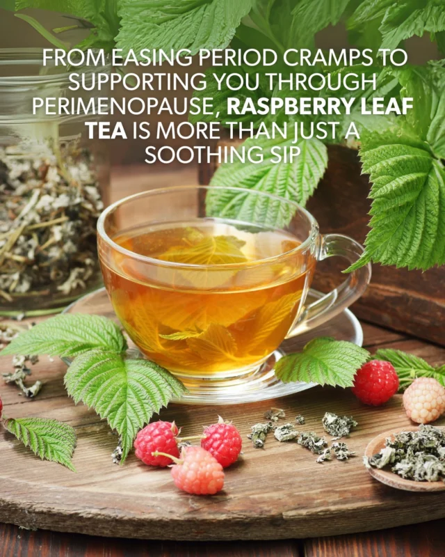 🌿 Curious about the real benefits of raspberry leaf tea for women’s health? From easing period cramps to supporting you through perimenopause, this time-tested herb is more than just a soothing sip. 💚 Discover what makes raspberry leaf a go-to for natural hormonal support — and how NutraTea’s blends like Raspberry Leaf + Peppermint and NutraMeno are crafted to gently care for your body at every life stage. ✨ Ready to dive deeper into the tradition and science behind this powerful plant? 👉 Tap the link in bio to read the full blog. #NutraTea #WomensHealth #HerbalWellness #RaspberryLeafTea #NaturalSupport #RaspberryLeaf #MenstrualRelief #PerimenopauseSupport #HormoneBalance #Menopause #Perimenopause #NaturalRemedies #FunctionalHerbalTea